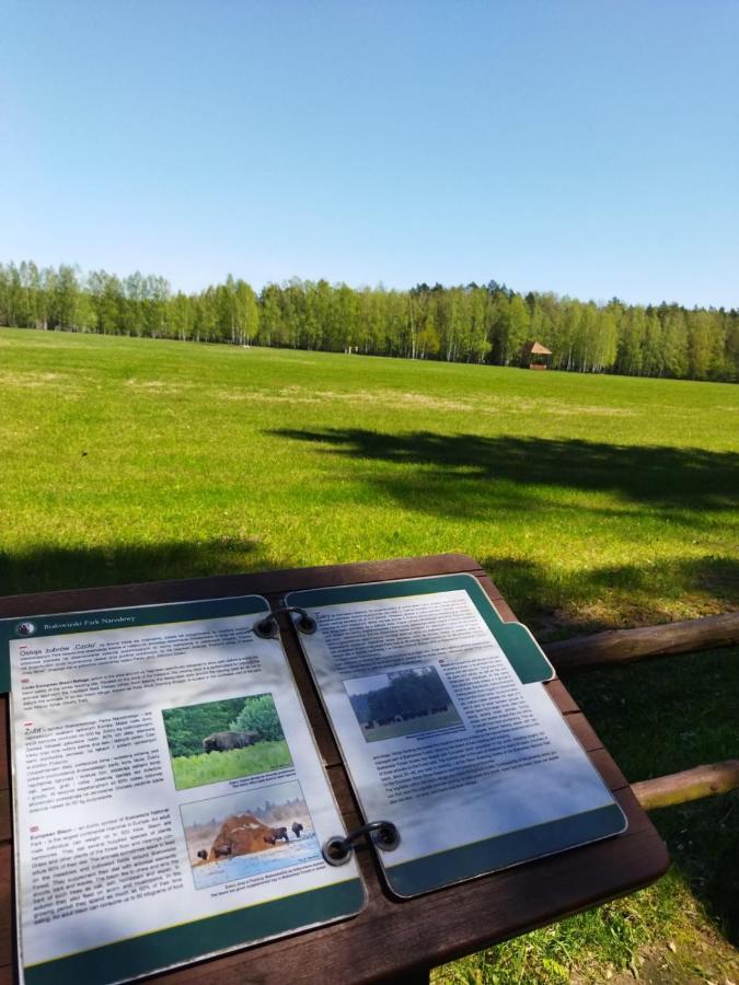 BiałowieżaPrzy Lesie别墅 外观 照片